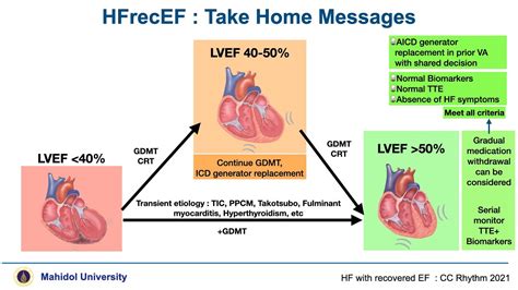 lfev heart